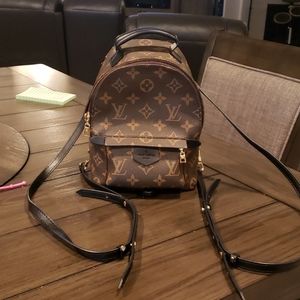 Monogram Palm Springs Backpack Mini